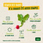 Potagères - Radis de 18 Jours - BIO - Grand Modèle - image